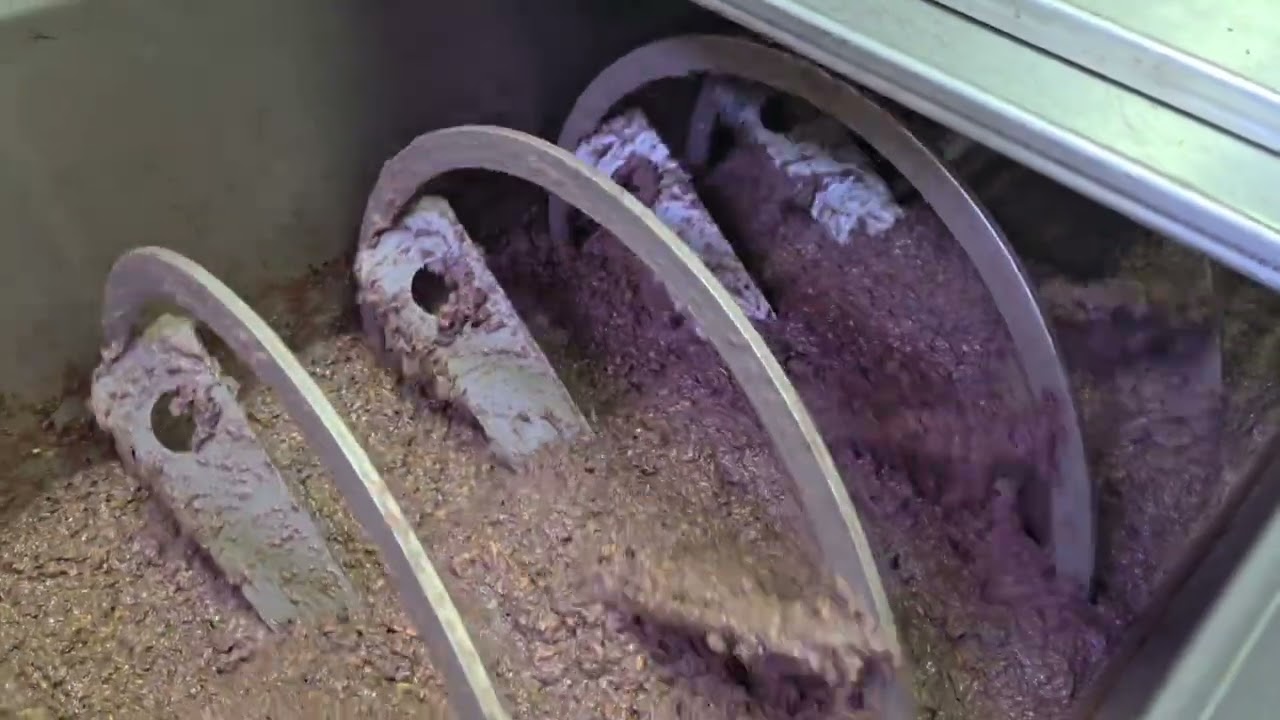 Ancient Craft Meets Modern Tech: Olive Oil Production in Lebanon