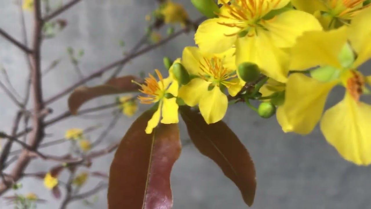 ngày 2 tháng 3, 2026