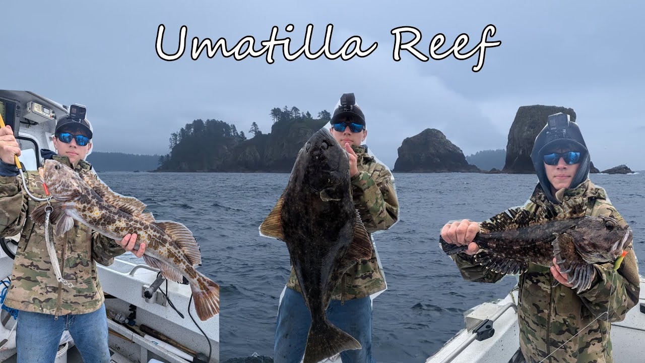 Pacific Halibut, Lingcod, and Rockfish Out of Neah Bay Washington!