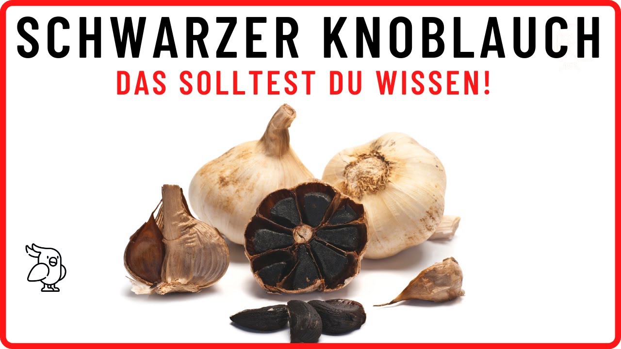 ✅SCHWARZER KNOBLAUCH✅ ist er so gesund wie behauptet wird? Schwarzer Knoblauch Wirkung