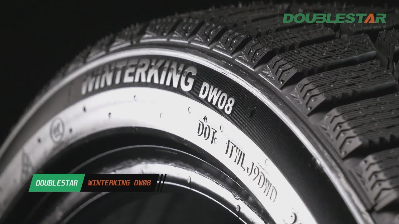 DOUBLESTAR DW08 WinterKing | Проморолик