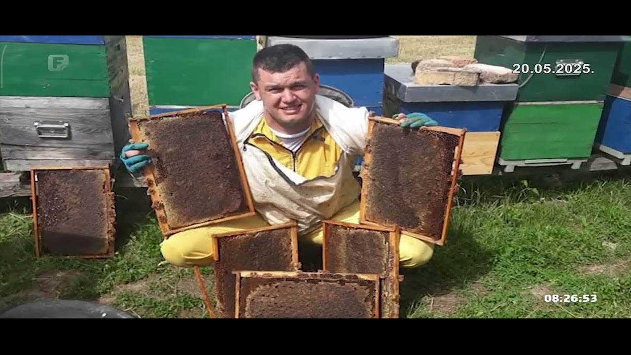 🐝🐝20. Maj Svjetski dan pčela🐝🐝