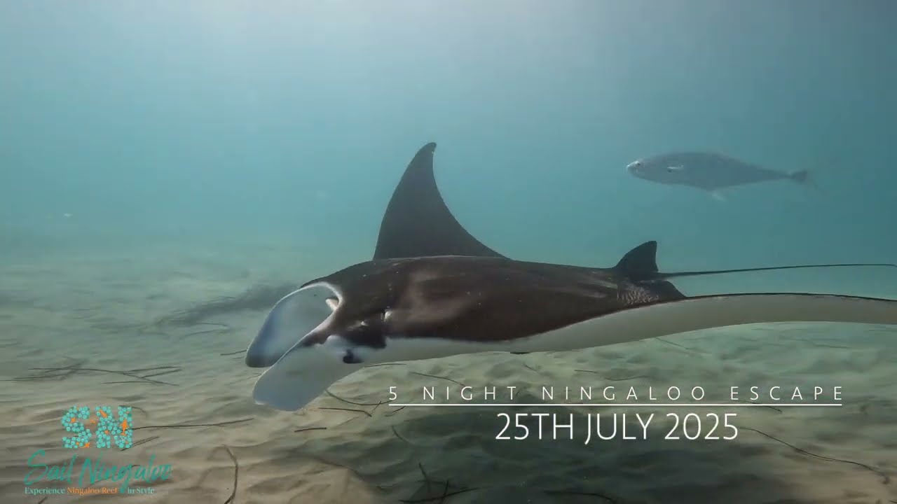 25th July 2025 Highlight Reel