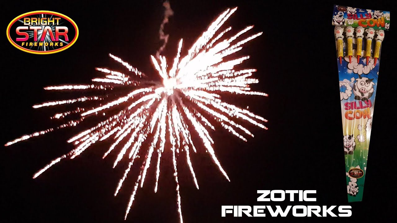 Silly Cow Rockets - Bright Star Fireworks [ZoticFireworksVIDS]
