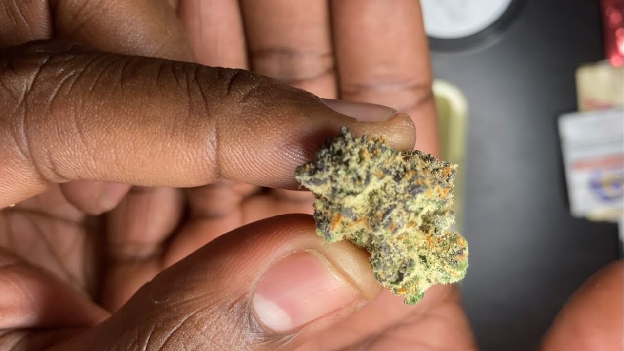 Grape Lime Ricky 18.7%🔥The Landing | A top three strain in West Virginia