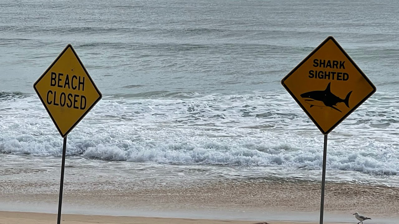 Manly Beach Is Closed Today! My Second Home Town