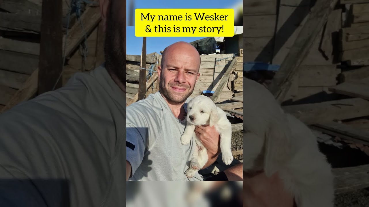 Wesker the luckiest pup alive! 🐶❤️