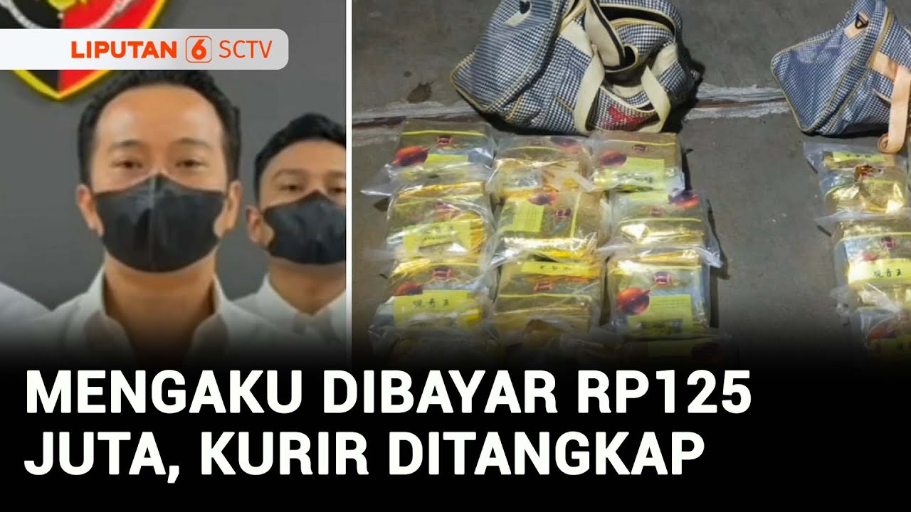 Kurir Narkoba Ditangkap di Tanjung Priok, 25 Kg Sabu & 1.100 Butir Pil Ekstasi Disita | Liputan 6