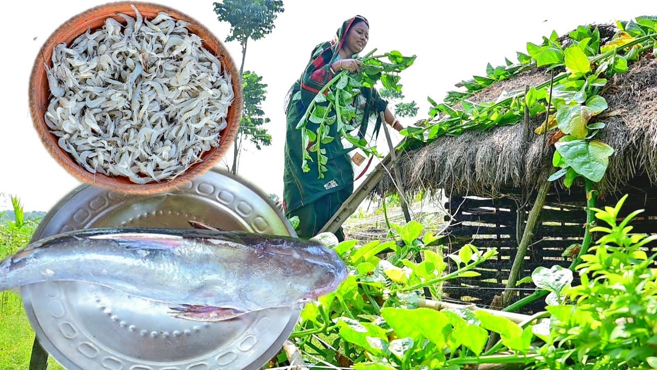 মাচায় উঠে পুঁইশাক কেটে কুচো চিংড়ি দিয়ে রান্না সাথে 2.5kg আড় মাছের তেলঝাল রেসিপি আর দুপুরে খাওয়া