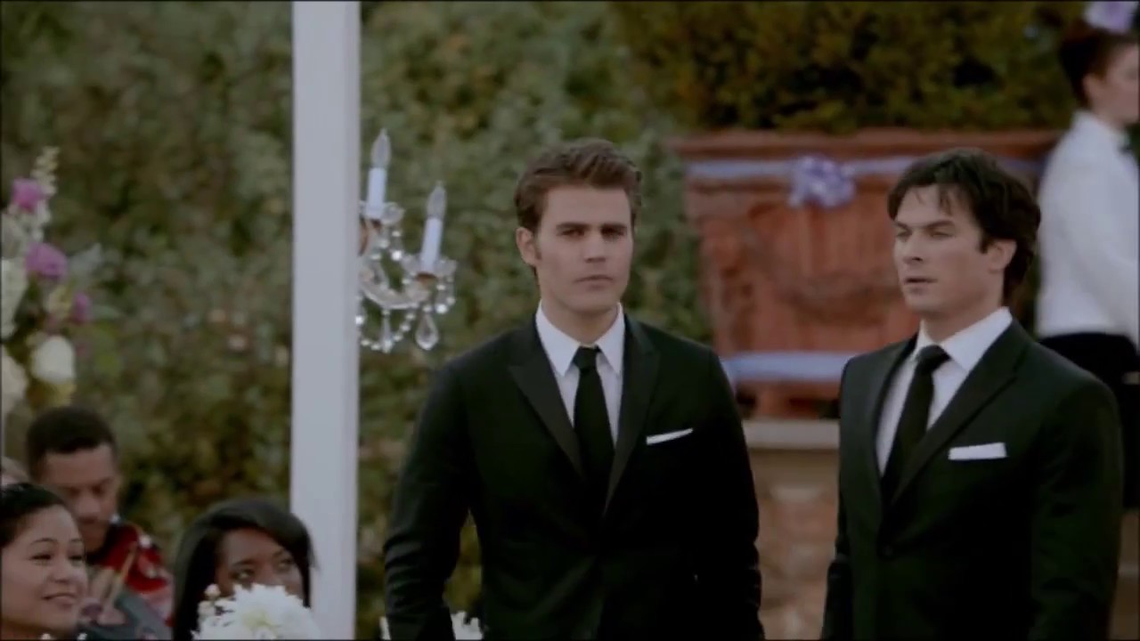 Damon and Stefan - 