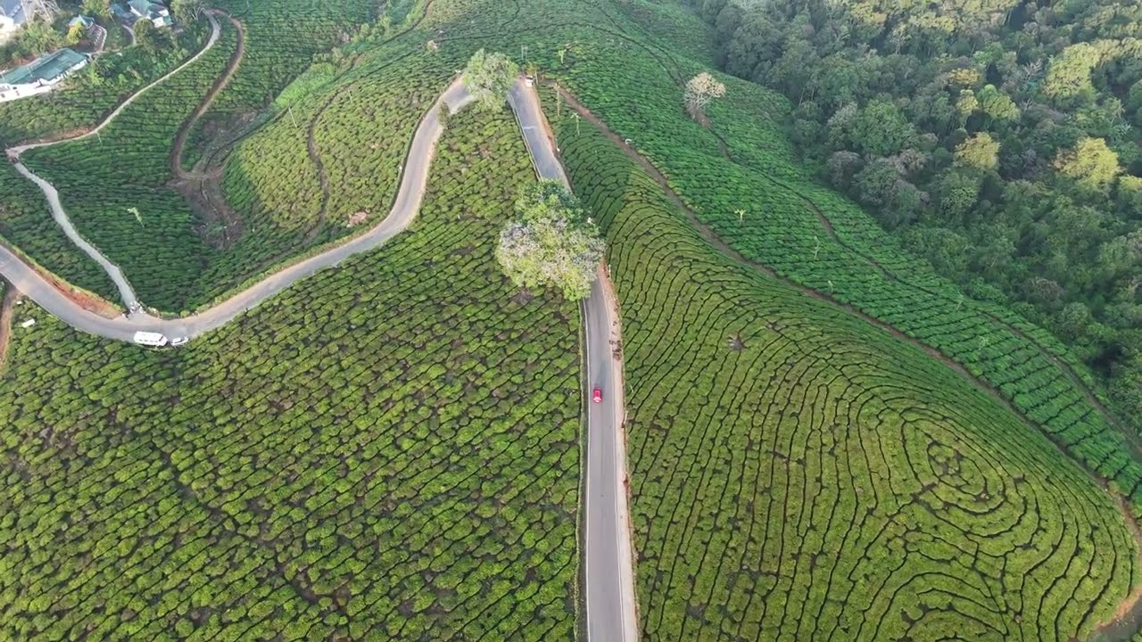 Kerala tourist  Beautiful Places in Kerala | Hidden Gems in God's Own Country