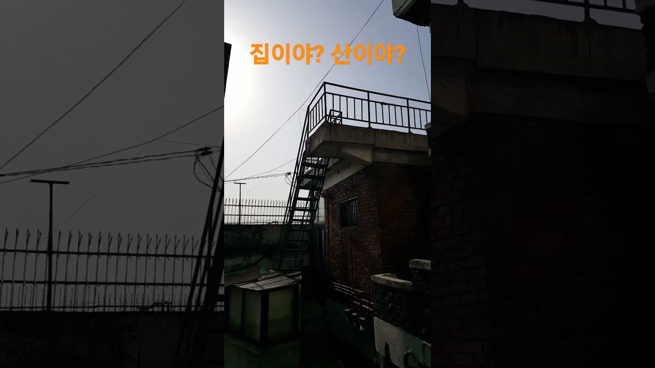 집이야? 산이야? 재미있는 Shorts 시골집 옛날집 오지마을 부동산 여행 한옥 골동품 귀농 귀촌 빈집