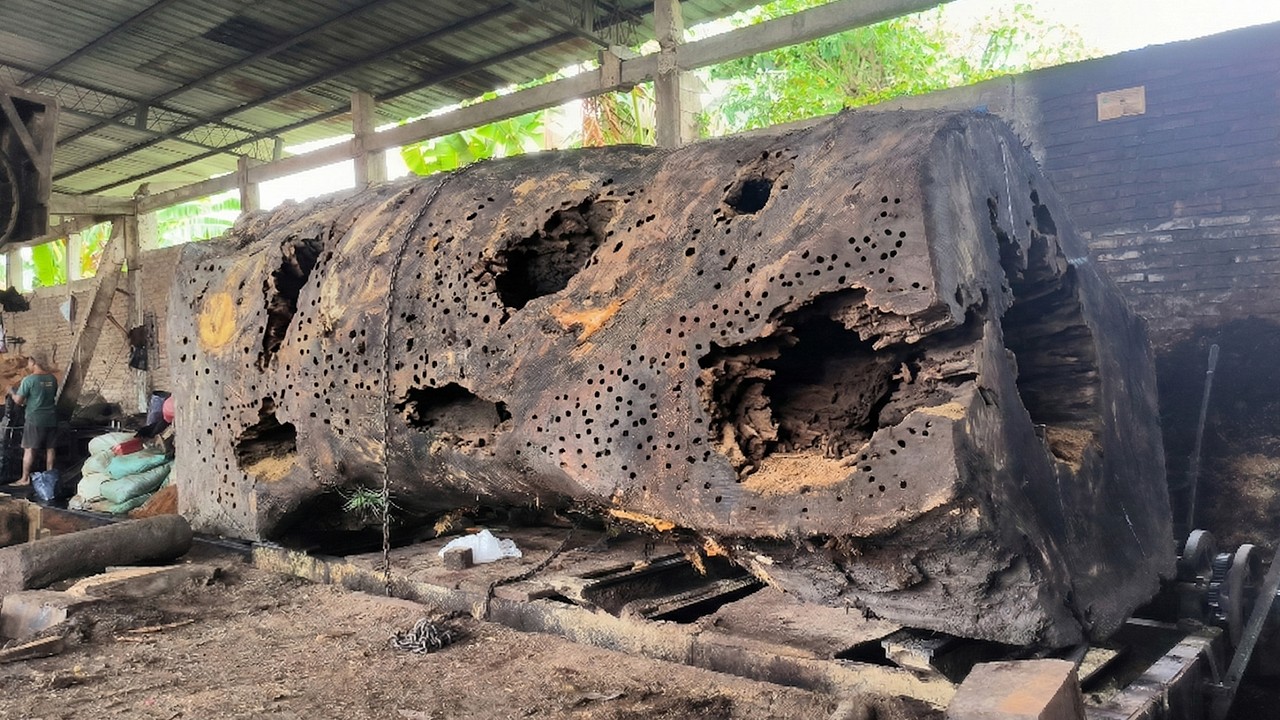 High End Wood Slabs from Massive Trees