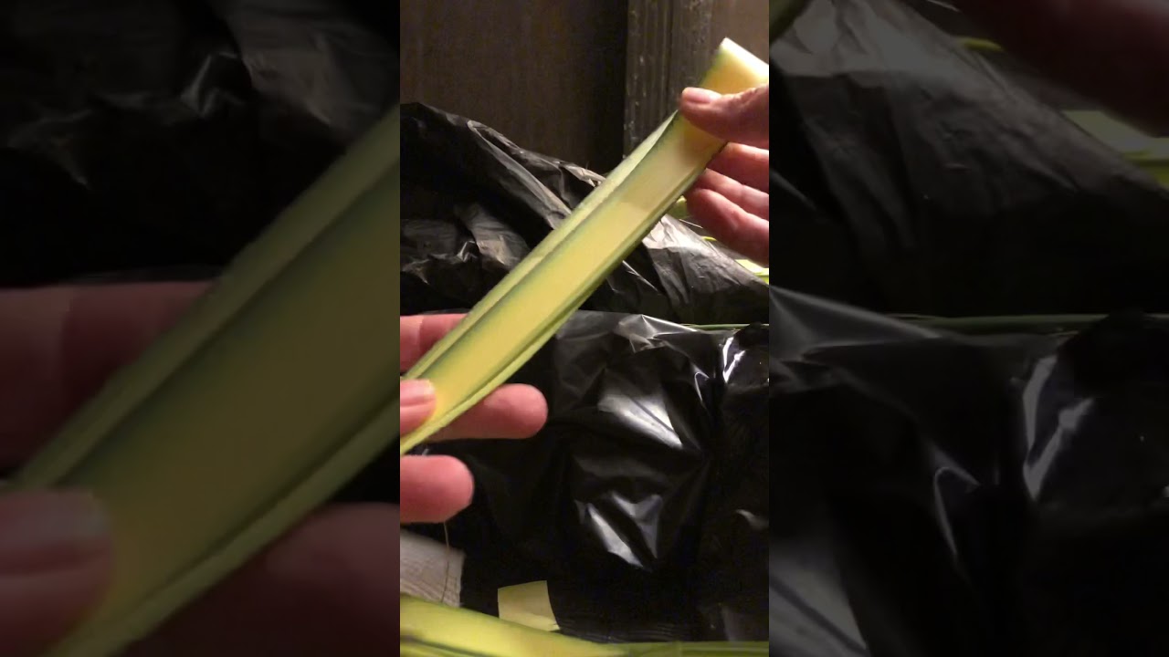 Palm Frond Cross (folded technique)