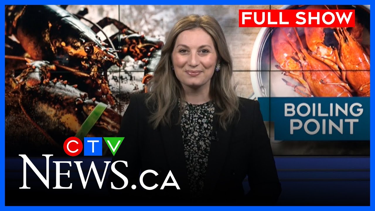 Should boiling lobster continue in Maritimes? I CTV News Atlantic at Five for Jan. 13, 2026