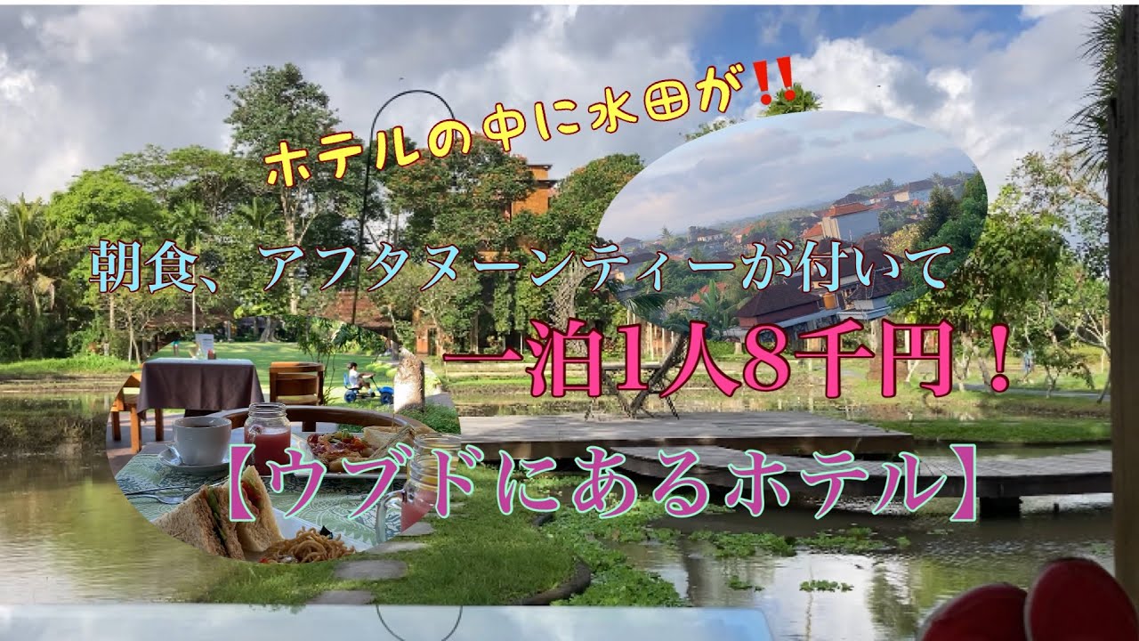 水田がホテルの中に⁉️朝食、アフタヌーンティーが付いて1人1泊8千円　バリ島ウブドにあるホテルカジャネ ヤングロニ  (Kajane Yangloni Hotel)