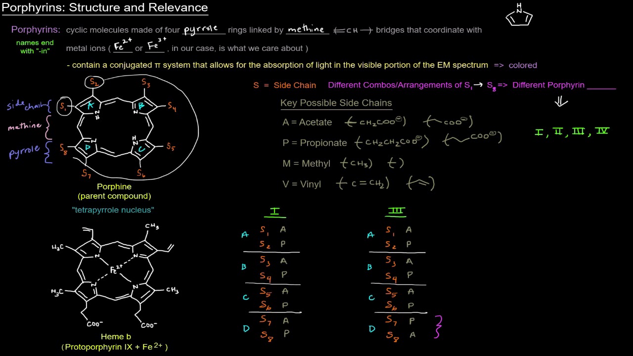Heme and its Metabolism: Porphyrins - Structure and Relevance [free sample]
