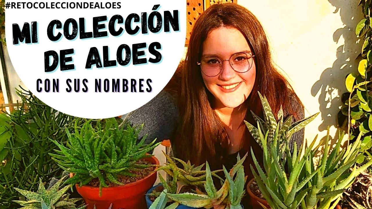25 Aloes con sus NOMBRES #MiColecciondeAloes