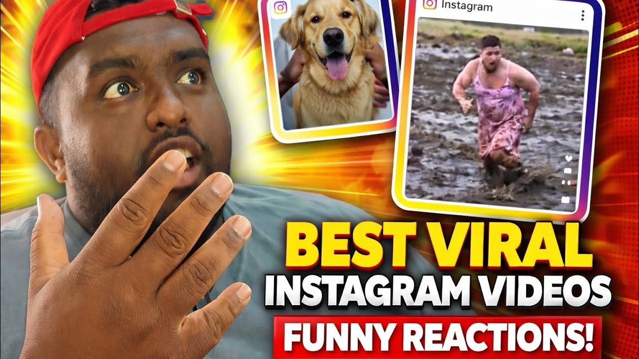 Videos ನೋಡಿ ನಗ್ತಾ ಬಿದ್ದುಬಿಡ್ತೀರಾ 😂🔥