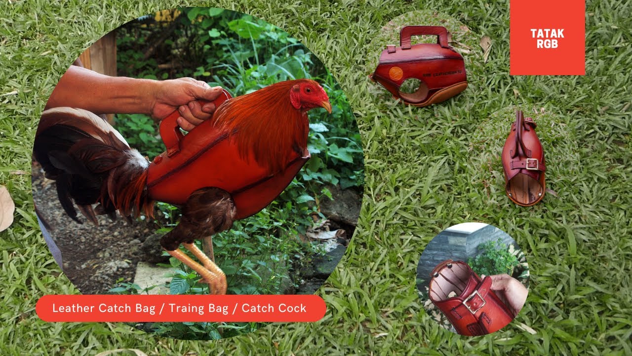 Leather Training Catch Bag / Catch Cock