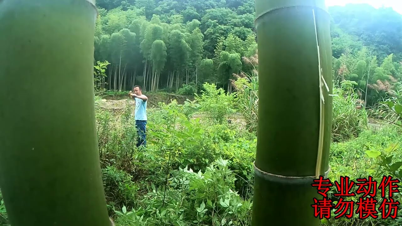 钢豹弹弓大锥度配置力量测试，碎大石穿毛竹力量十足 Chinese Powerful slingshot