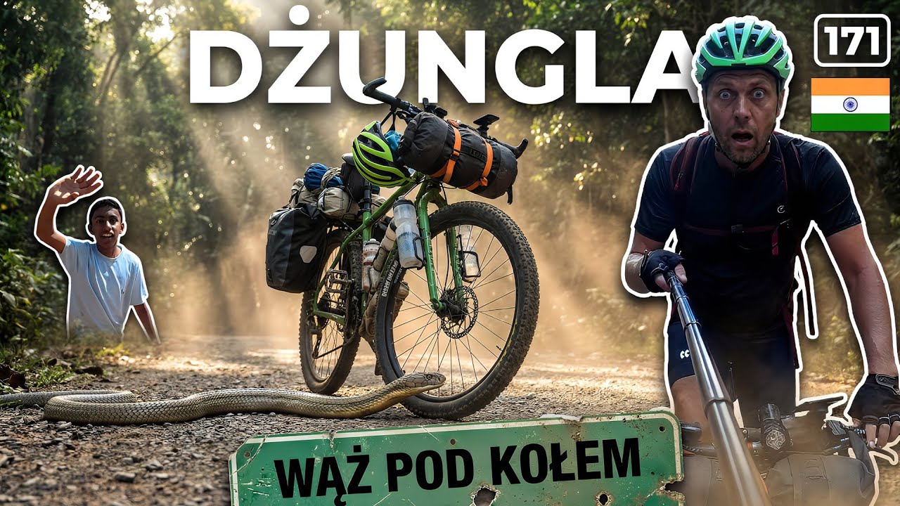 Indyjska dżungla + Największe zagrożenie jest pod kołami