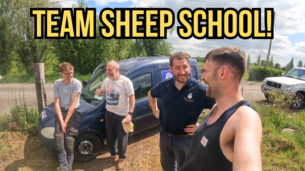 FIRST DAY BACK SHEARING - WILL OUR BACKS SURVIVE?