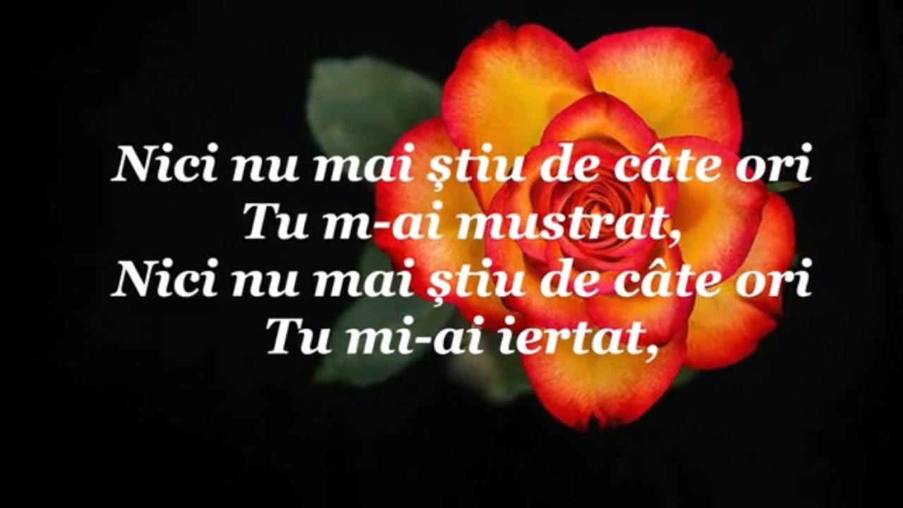 Nici nu mai știu de câte ori - Mariana Someșan - VERSURI
