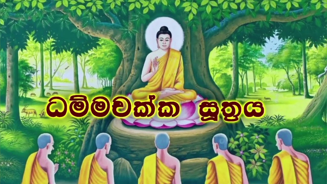 ධම්මචක්කපවත්තන සූත්‍රය (පූජ්‍ය බොල්ලතාවේ සීලානන්ද හිමි )