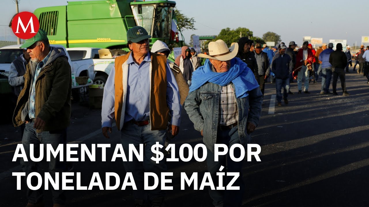 Agricultores logran aumento al precio del maíz y analizan levantar bloqueos carreteros