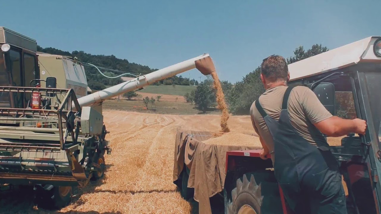 Žatva 2019 - Hrušov | Fortschritt E514  | HD