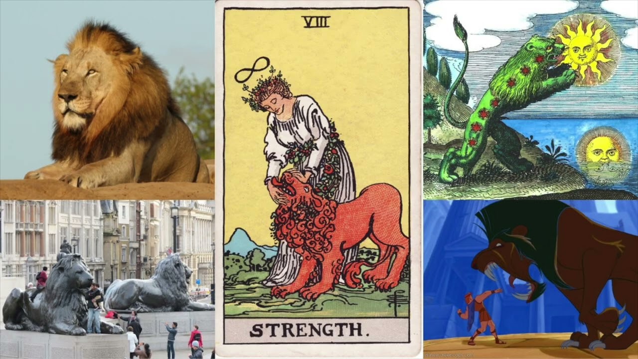 The Symbolism of the LION! Strength, Kingship, and Power