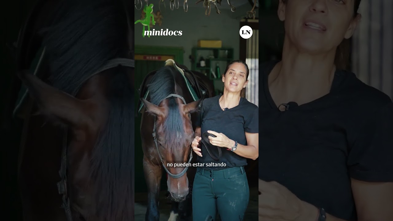 Lucrecia y su caballo, la argentina en la cima del salto ecuestre