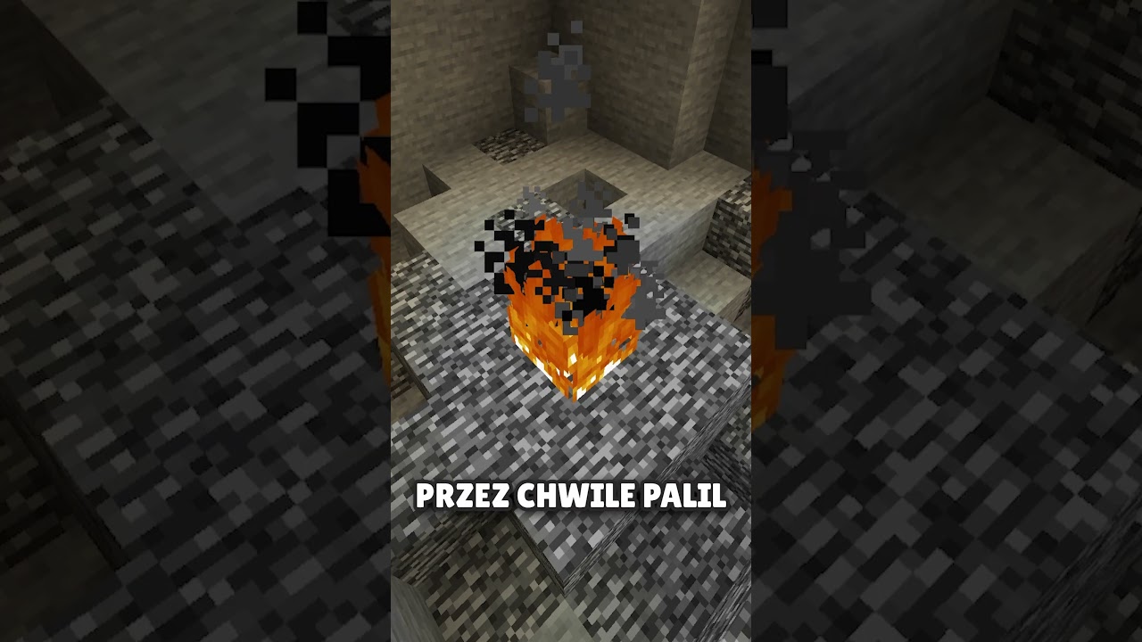 BEDROCK W ENDZIE #minecraft #shortrs