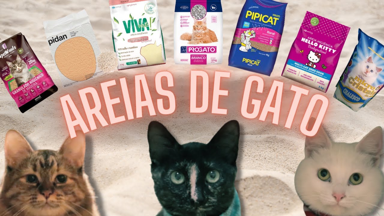 QUAL AREIA ESCOLHER PARA GATOS