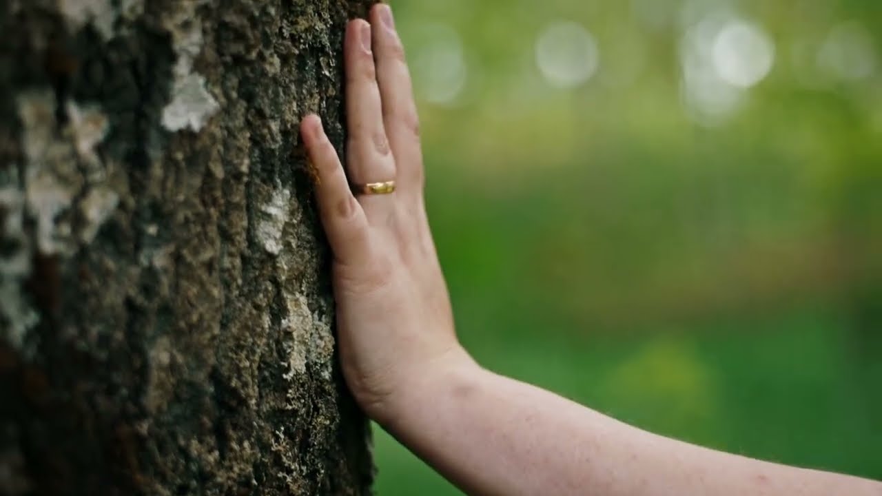 Enhancing biodiversity with sustainable forestry