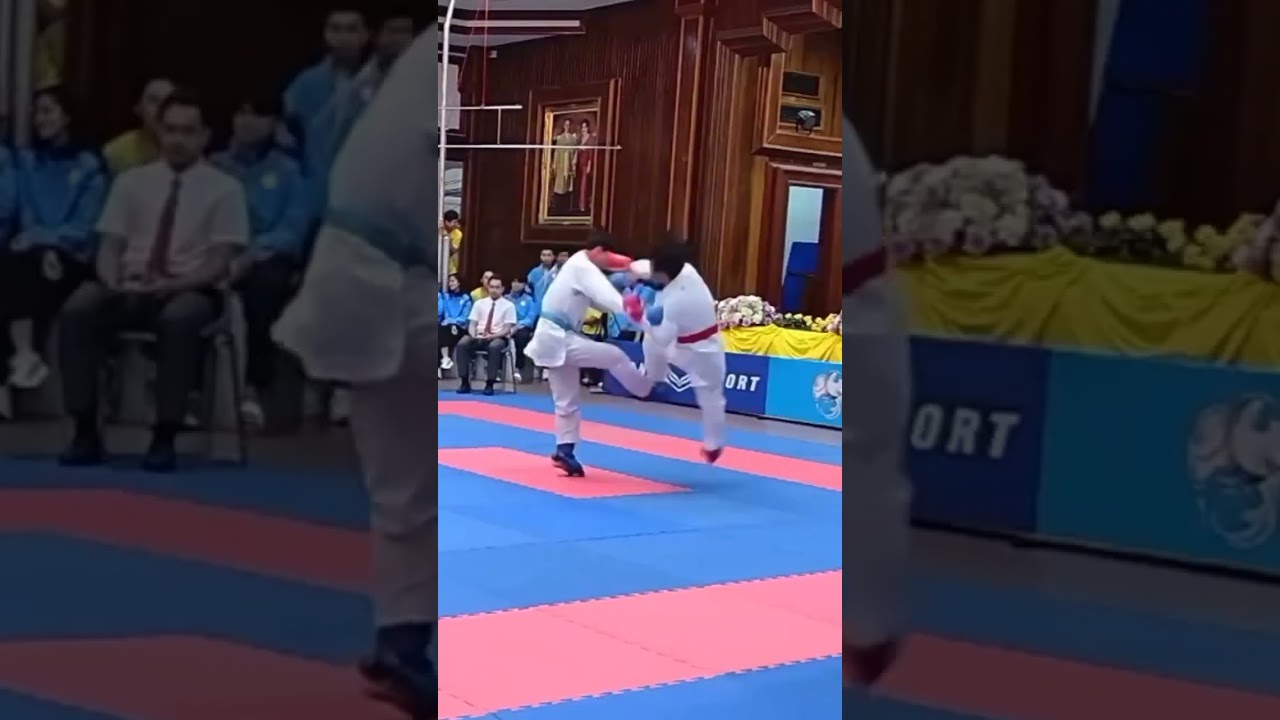 What do you think guys ? 🤔 | Wkf karate kumite | #karate #kumite #wkf #martialarts #video #skarate
