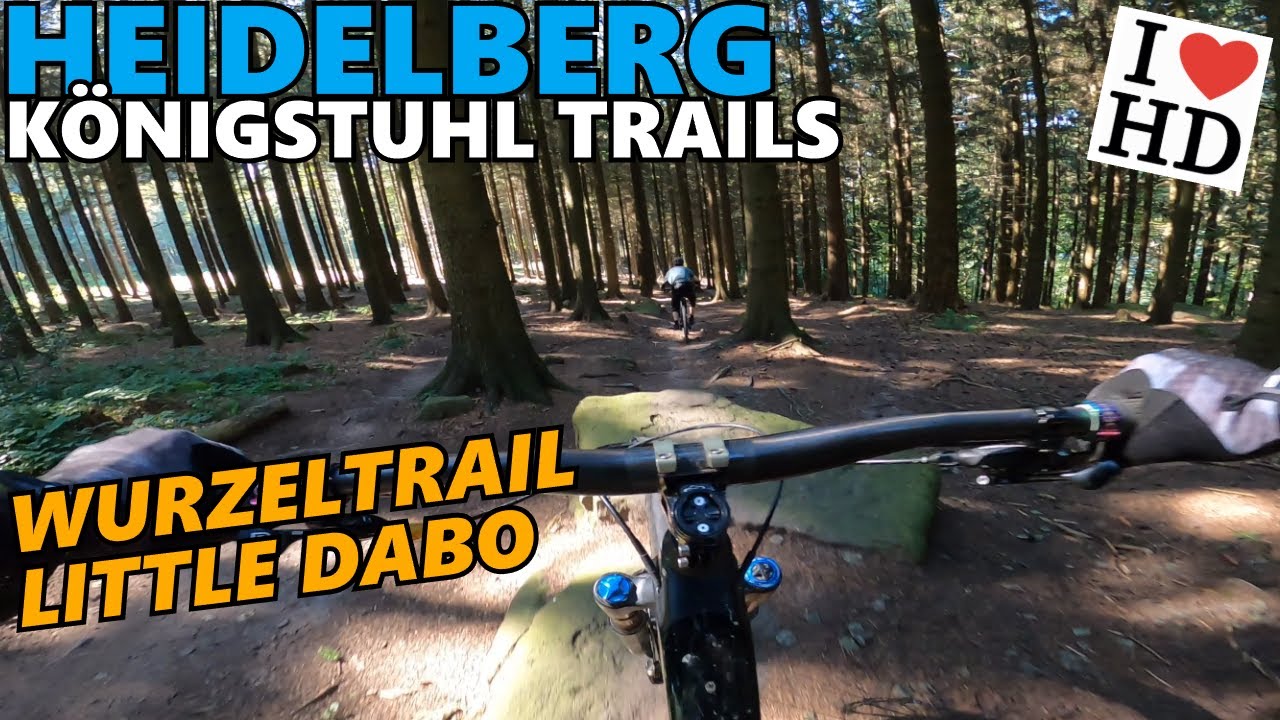 HEIDELBERG KÖNIGSTUHL Wurzeltrail + Little Dabo / Mountainbike Enduro - JAY'S TRAILSPEICHER