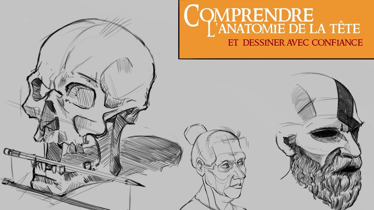 Comprendre l'anatomie de la tête et dessiner avec confiance
