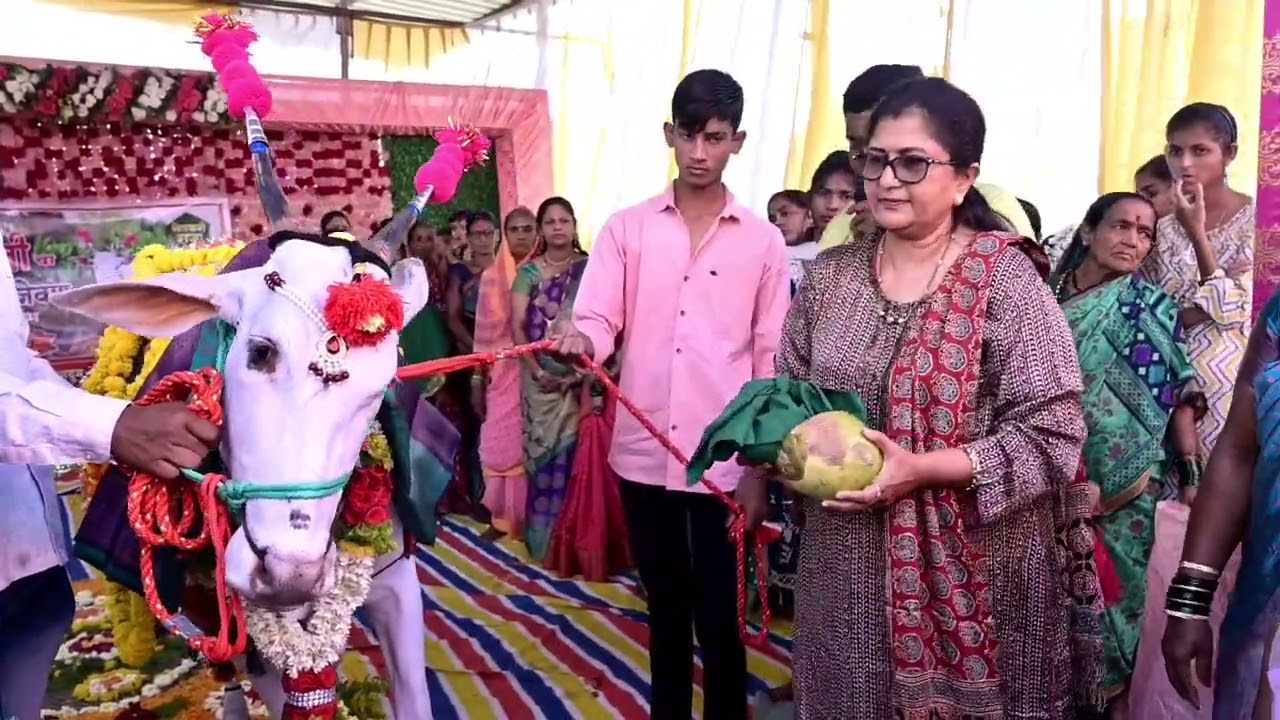 माऊली गाईचे डोहाळे जेवण कुर्ली अर्जुन मगदुम यांनी घातले.
