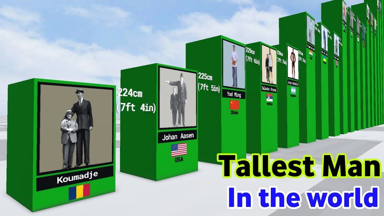 Tallest Man In The World By Country Height Comparison.