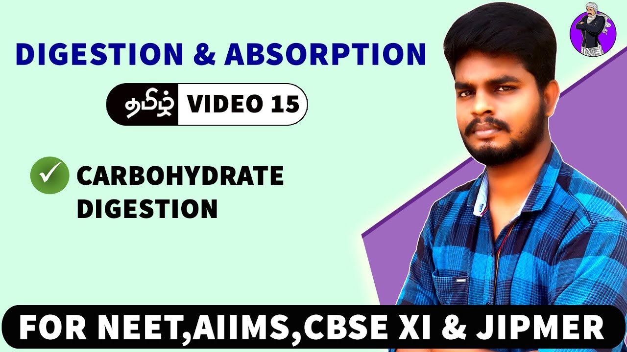Carbohydrate Digestion in Tamil | Digestion & adsorption in Tamil (15)