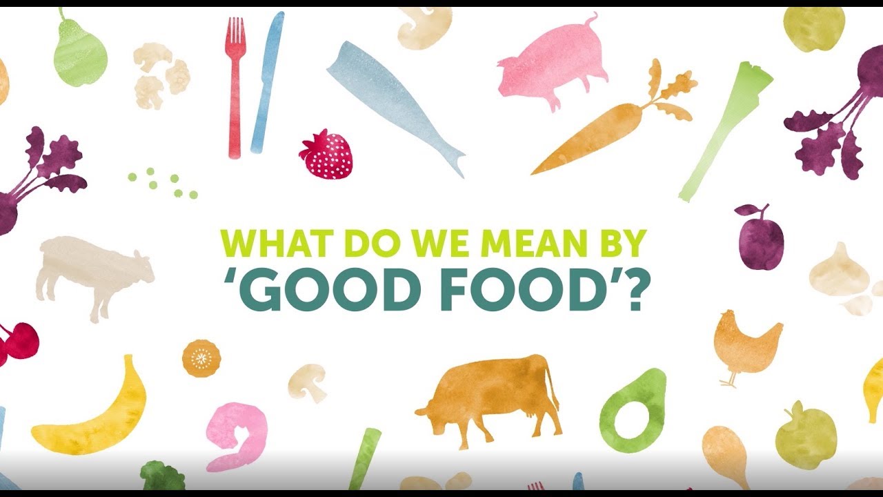 What do we mean by 