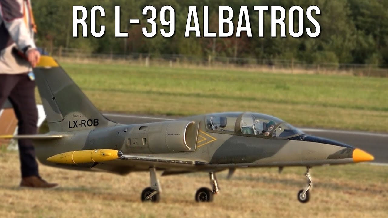 Huge RC Jet L-39 Albatros Turbine Powered Detailed Scale Model Flies At Flight Show