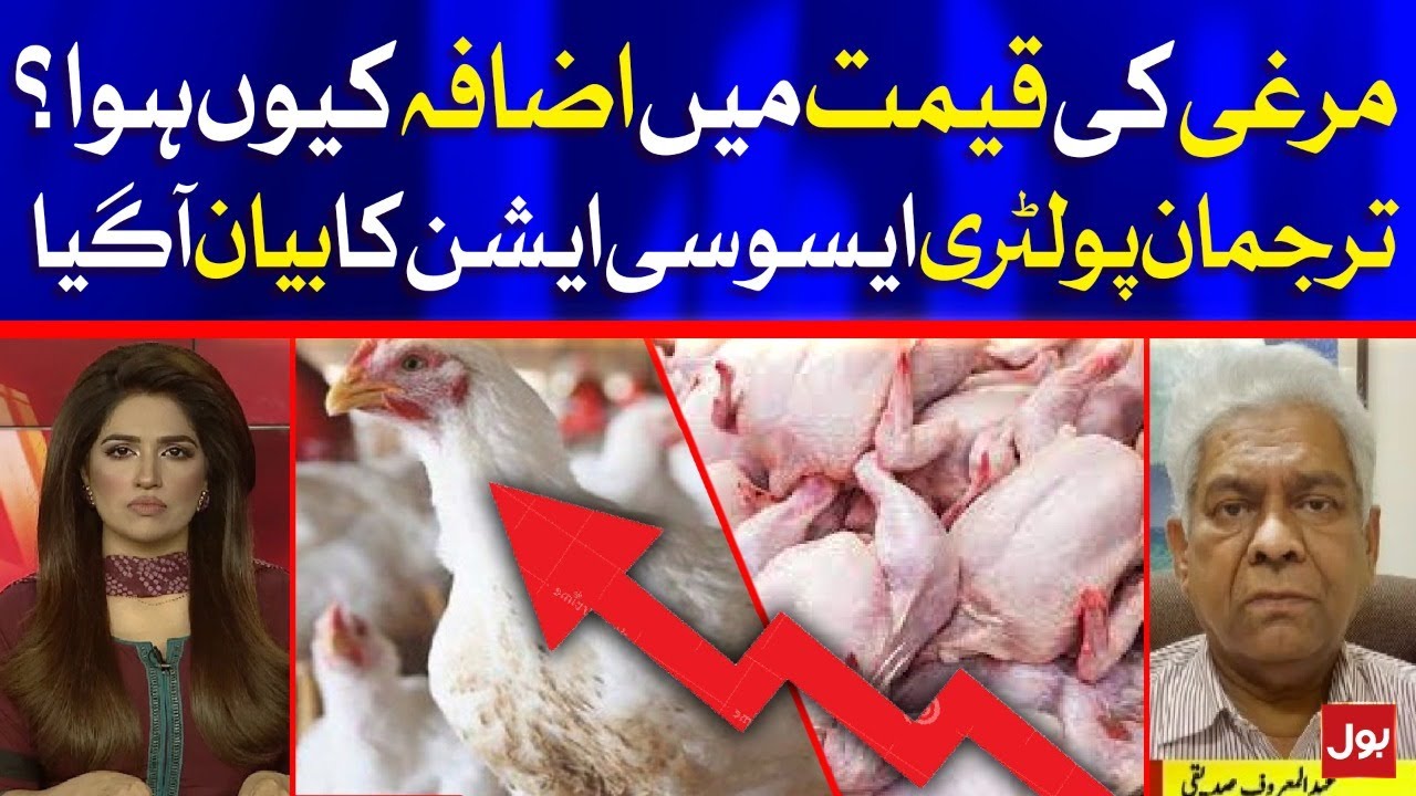 Why Chicken Price is Increasing? | Poultry Farm Association Revealed the Reasons | BOL News
