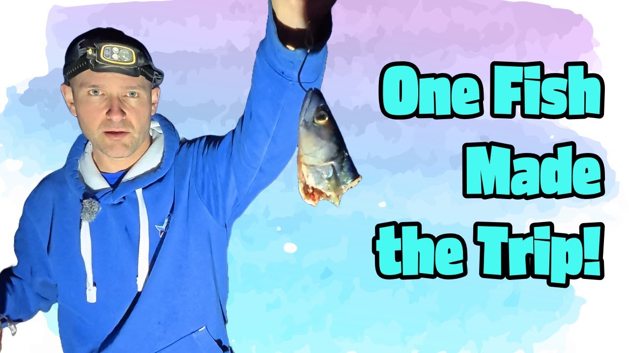 Beach Fishing for Bass in the UK – Best Tips, Bait & Action!