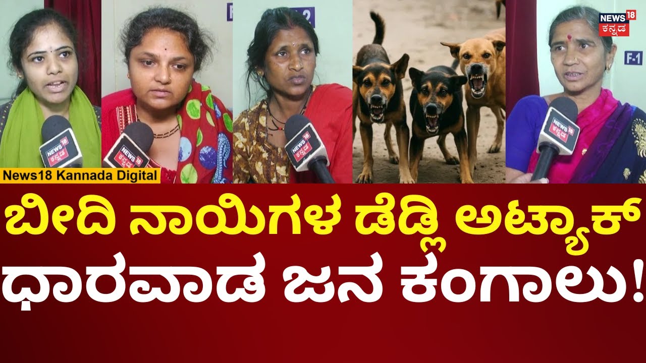 Streat Dogs Attack In Dharwad | ಧಾರವಾಡದಲ್ಲಿ ಜನರ ಮೇಲೆ ಬೀದಿ ನಾಯಿಗಳ ಅಟ್ಯಾಕ್! | N18V