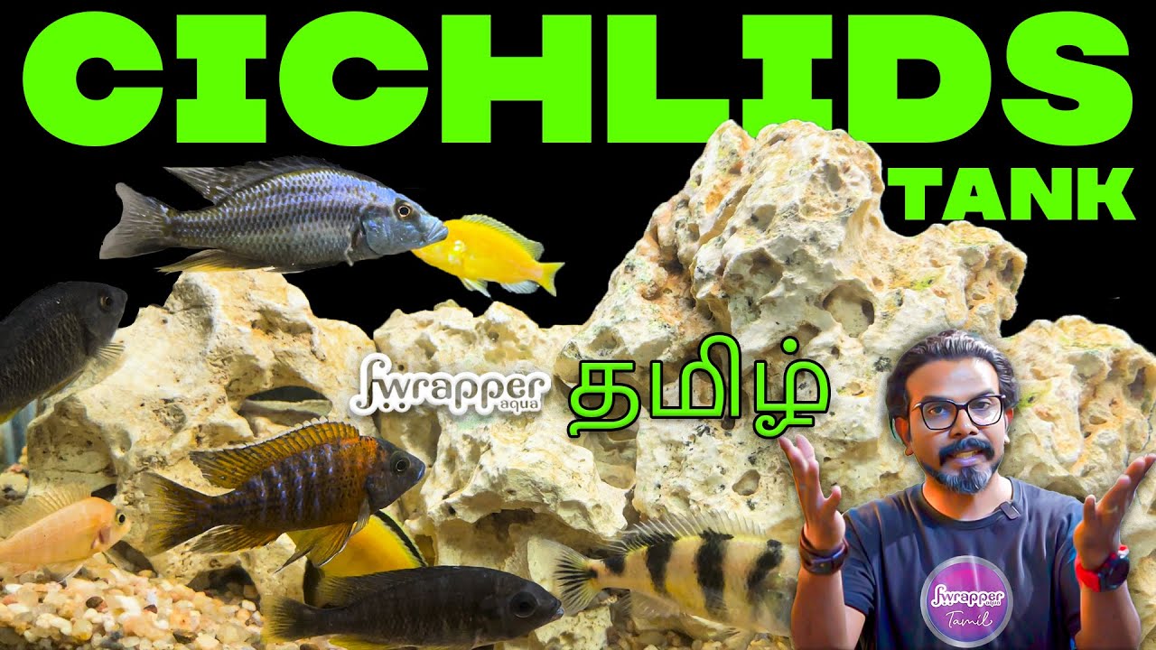 Cichlid Tank Setup Guide in TAMIL : Beginner's Aquarium Tutorial