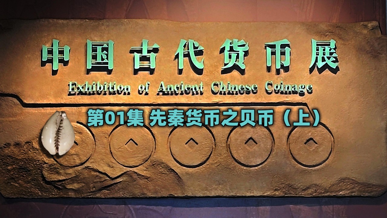 辽博中国古代货币展  --  01先秦货币贝币(上)