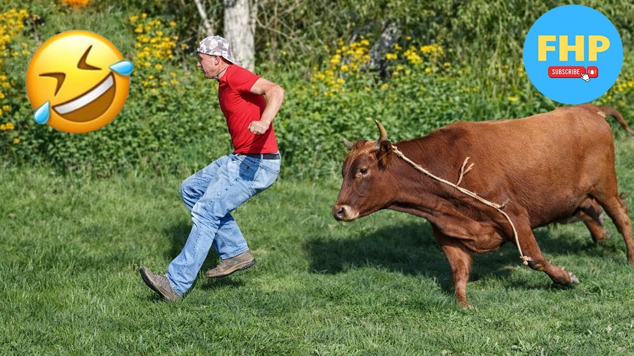 Funny & Hilarious People Life 😆 #18 | TRY NOT TO LAUGH 😂 | Instant Regret Fails Compilation 2025